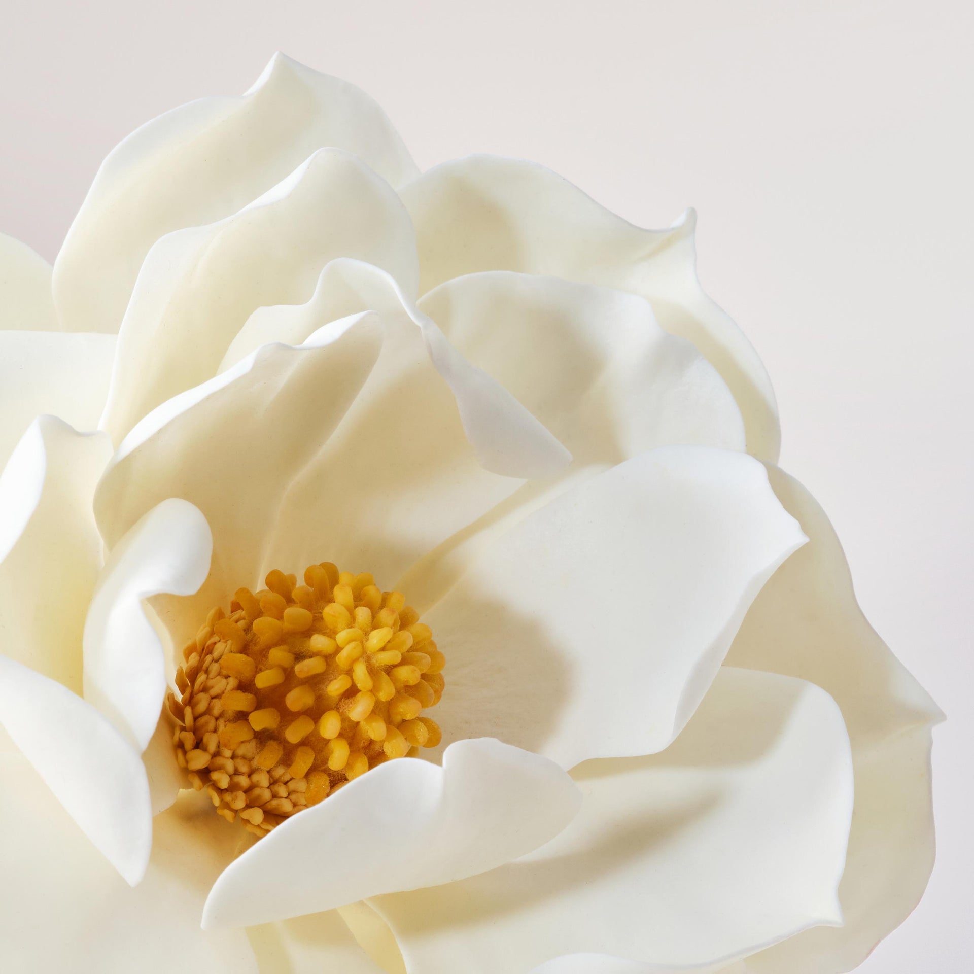 Payot Micro Pearl Youth Serum