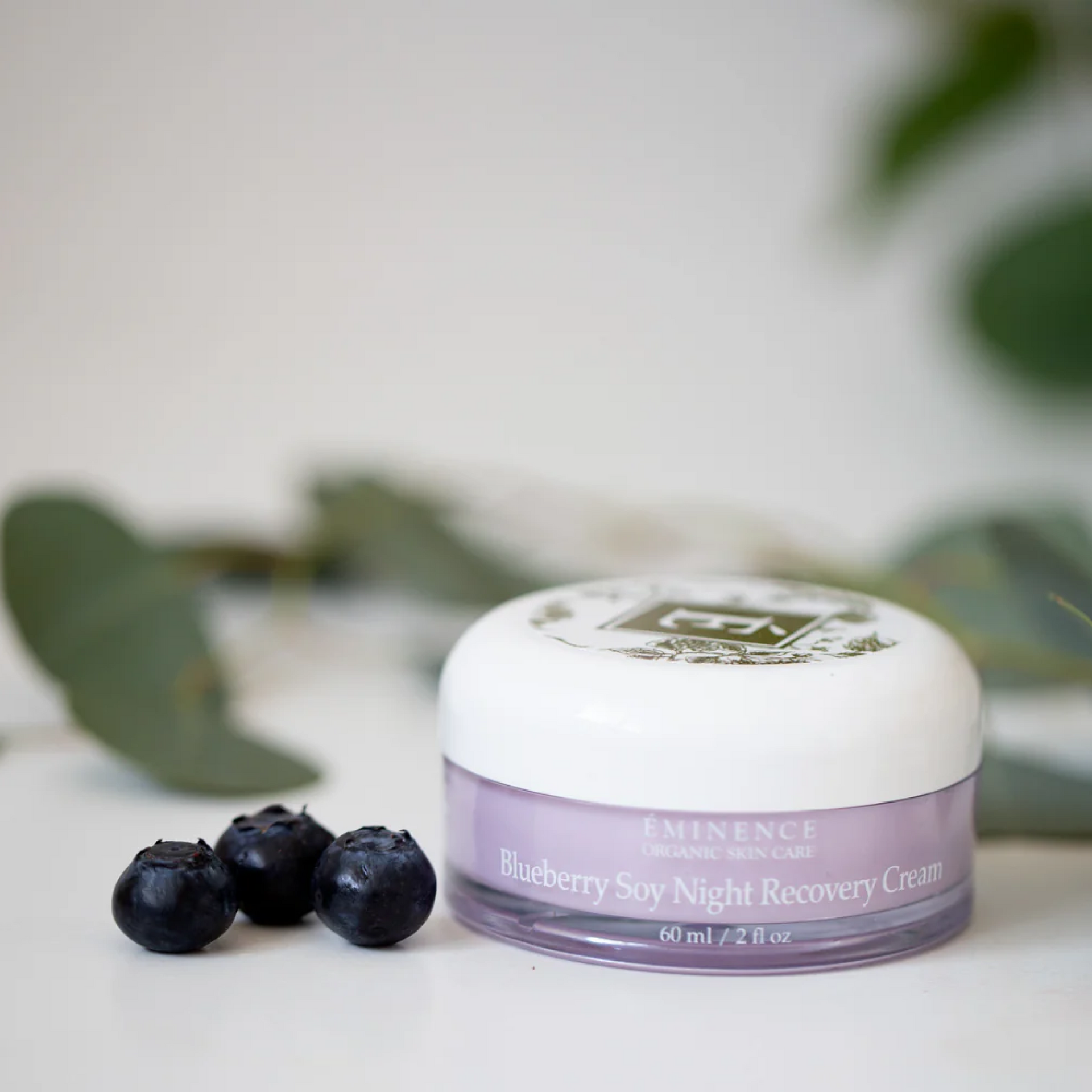Eminence Blueberry Soy Night Recovery Cream