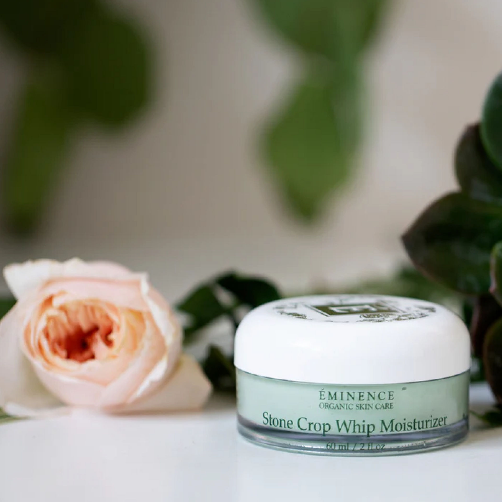 Eminence Stone Crop Whip Moisturizer