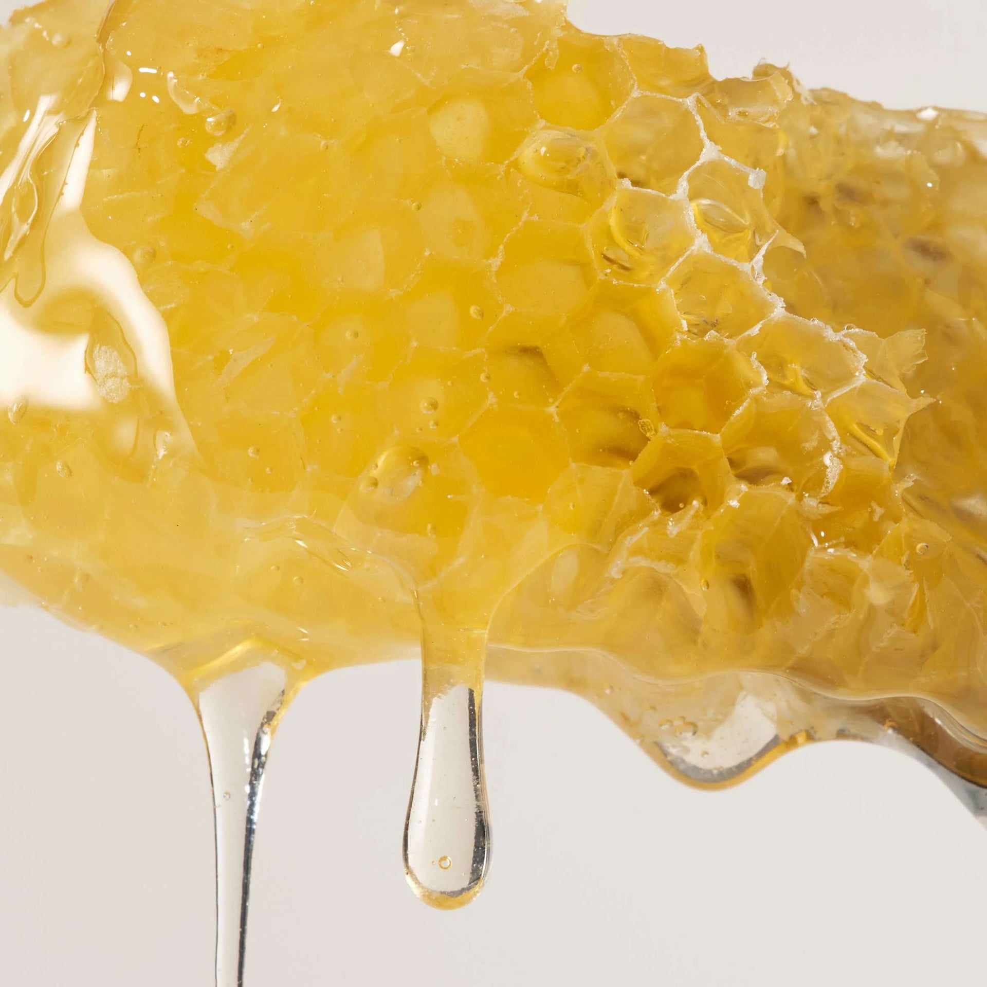 Payot Velvety Nourishing Hand Cream