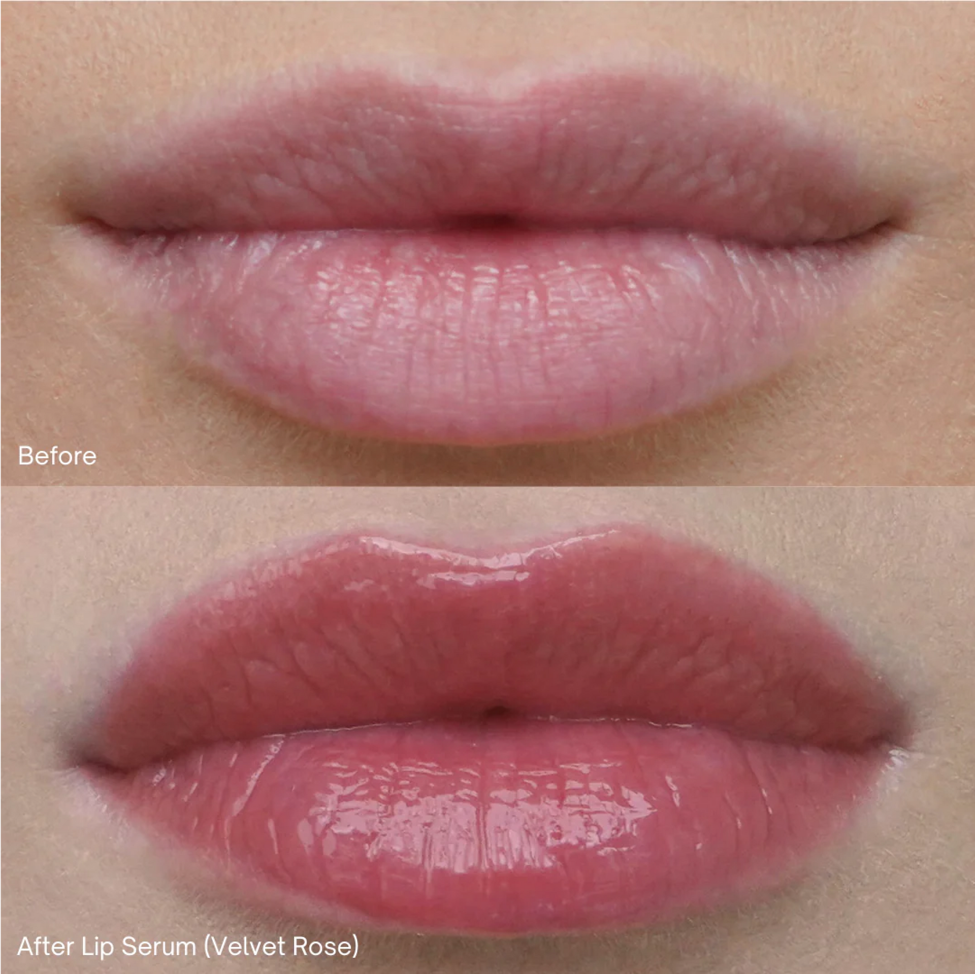 Revive7 Lip Serum Velvet Rose