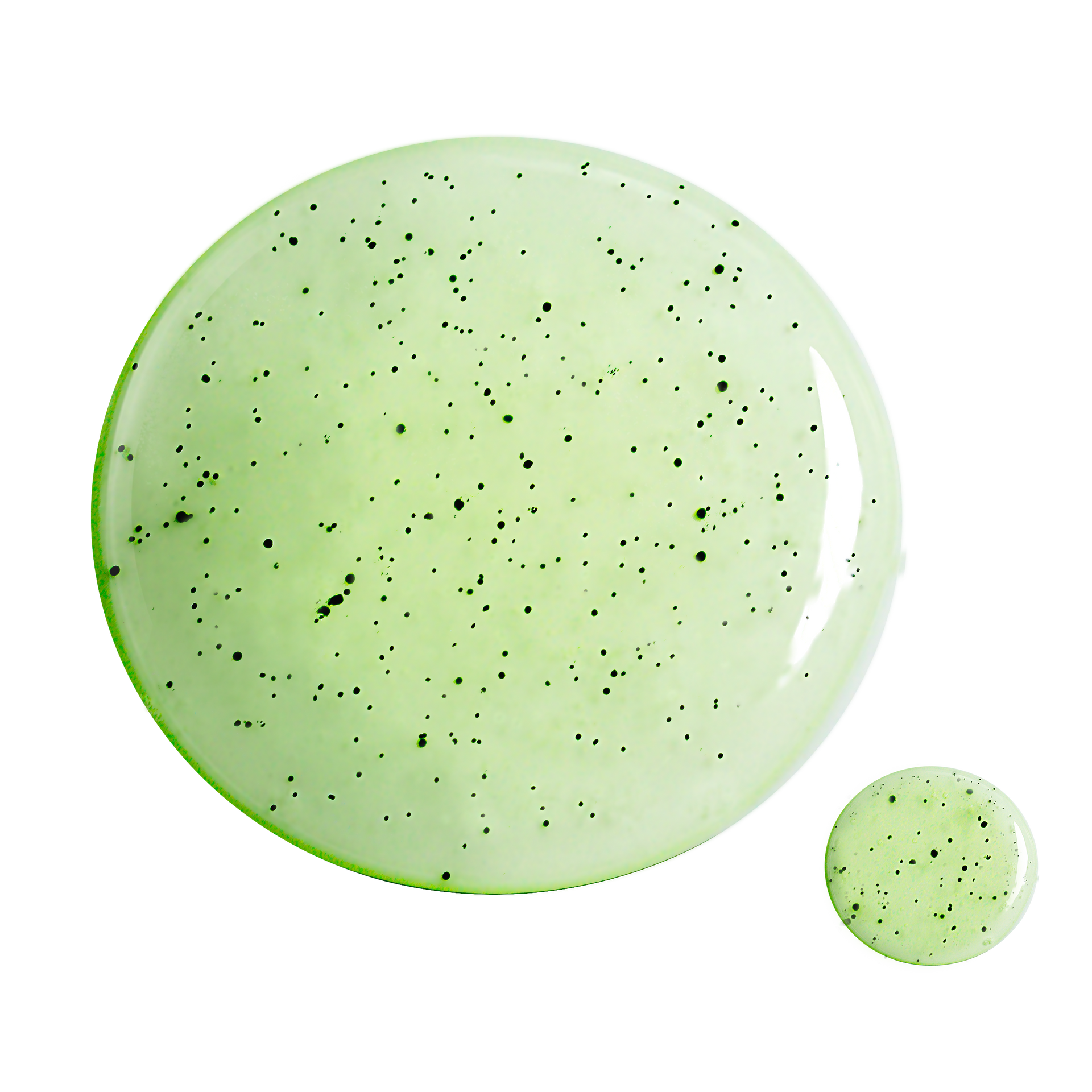 Payot Purifying Foaming Gel Cleanser