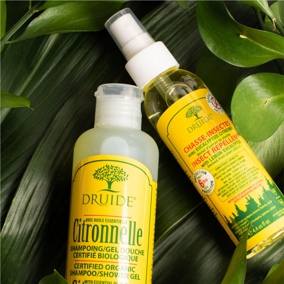 Shampooing et gel douche à la citronnelle Druide
