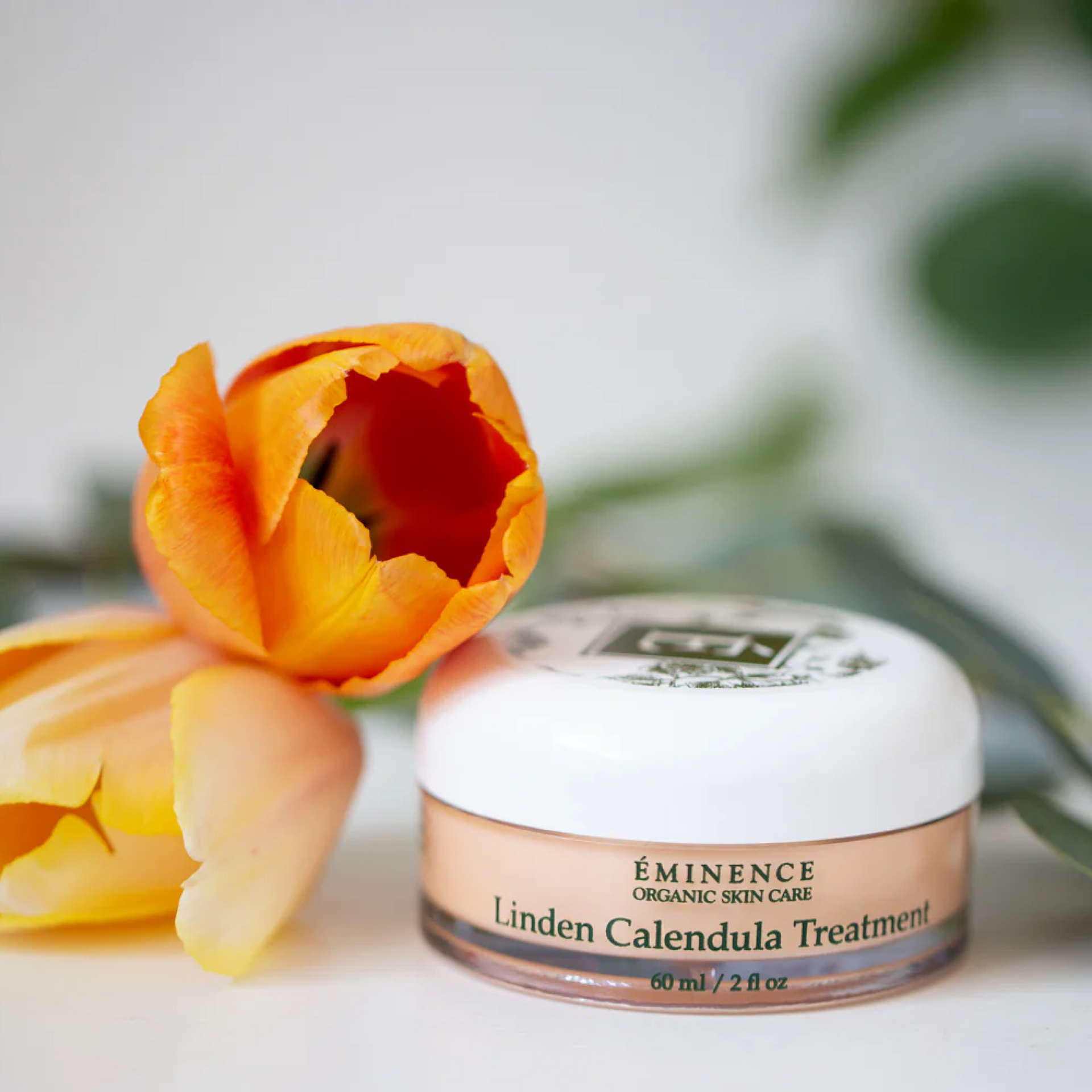 Traitement du calendula Éminence Tilleul