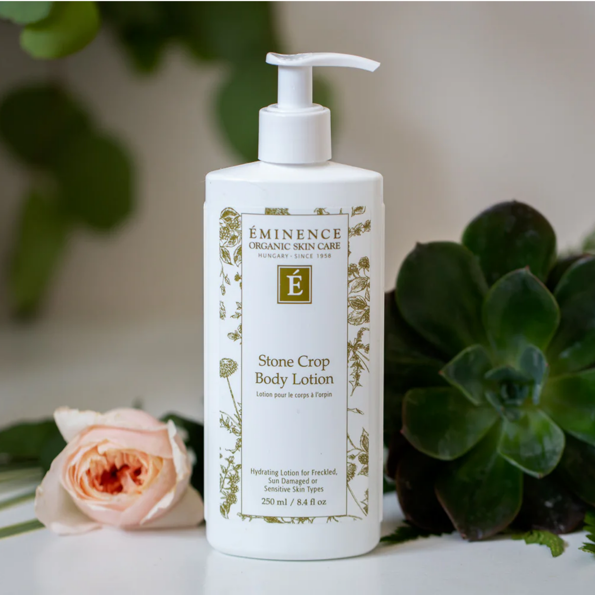 Lotion corporelle Eminence Stone Crop